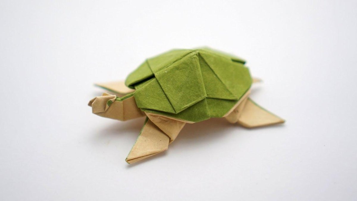 Origami schildpad papier